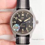 M+ Factory Swiss Grade 1 IWC Mark XVIII Replica Watch Titanium Case